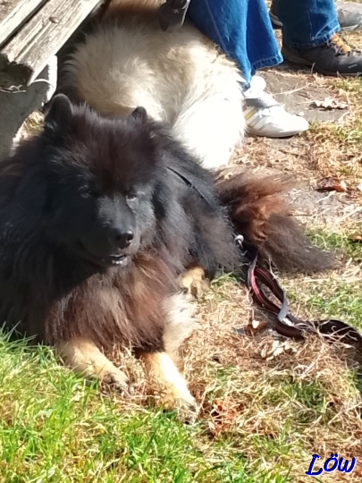 1.11.2025 - Zuviel Sonne